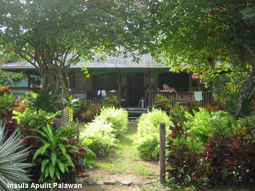 Vacanta in Insula Apulit Palawan, vacante de vis, calatorie, insule si locuri de scufundat, top plaje de vis
