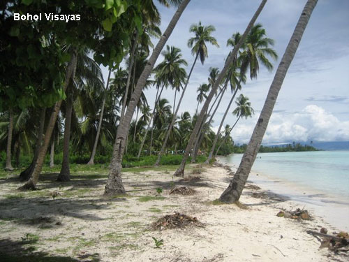 Vacanta in Bohol Visayas, vacante de vis, calatorie, insule si locuri de scufundat, top plaje de vis