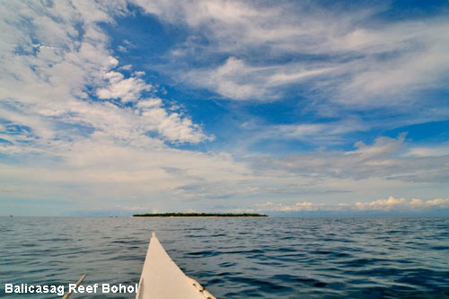 Vacanta in Balicasag Reef Bohol, vacante de vis, calatorie, insule si locuri de scufundat, top plaje de vis