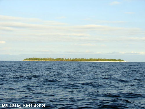 Vacanta in Balicasag Reef Bohol, vacante de vis, calatorie, insule si locuri de scufundat, top plaje de vis