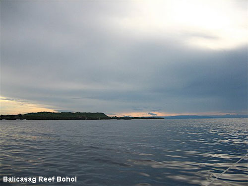 Vacanta in Balicasag Reef Bohol, vacante de vis, calatorie, insule si locuri de scufundat, top plaje de vis