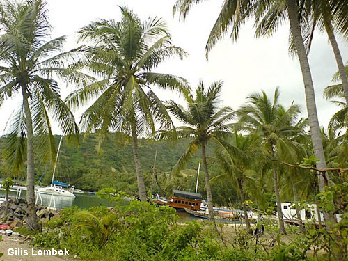Vacanta in Gilis Lombok, vacante de vis, calatorie, insule si locuri de scufundat, top plaje de vis