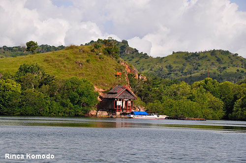 Vacanta in Rinca Komodo, vacante de vis, calatorie, insule si locuri de scufundat, top plaje de vis