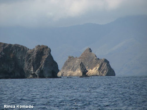 Vacanta in Rinca Komodo, vacante de vis, calatorie, insule si locuri de scufundat, top plaje de vis