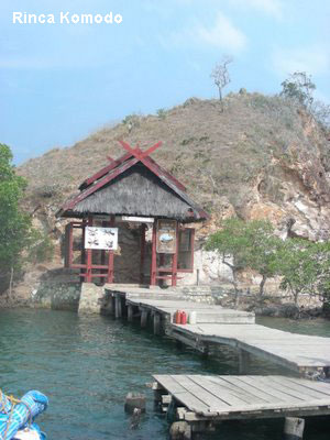 Vacanta in Rinca Komodo, vacante de vis, calatorie, insule si locuri de scufundat, top plaje de vis