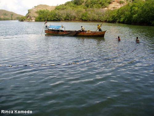 Vacanta in Rinca Komodo, vacante de vis, calatorie, insule si locuri de scufundat, top plaje de vis