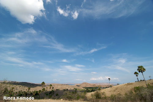 Vacanta in Rinca Komodo, vacante de vis, calatorie, insule si locuri de scufundat, top plaje de vis