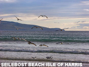 Vacanta in Seilebost Beach, Isle of Harris, vacante de vis, calatorie, insule si locuri de scufundat, top plaje de vis