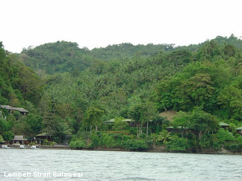 Vacanta in Lembeh Strait Sulawesi, vacante de vis, calatorie, insule si locuri de scufundat, top plaje de vis