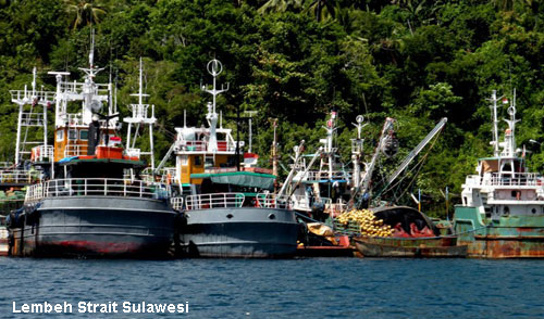 Vacanta in Lembeh Strait Sulawesi, vacante de vis, calatorie, insule si locuri de scufundat, top plaje de vis