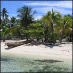 Vacanta in Raja Ampat, Irian Jaya, vacante de vis, calatorie, insule si locuri de scufundat, top plaje de vis