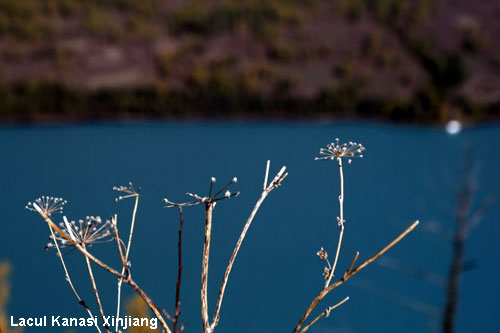 Vacanta in Lacul Kanasi Xinjiang, vacante de vis, calatorie, insule si locuri de scufundat, top plaje de vis