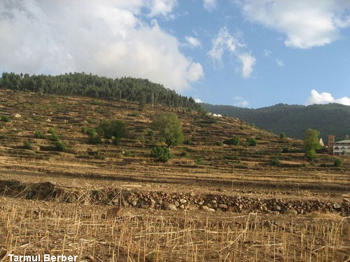 Vacanta in Tarmul Berber, vacante de vis, calatorie, insule si locuri de scufundat, top plaje de vis