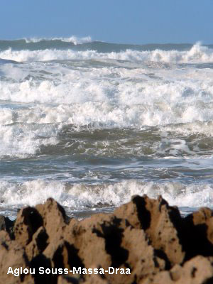 Vacanta in Aglou Souss-Massa-Draa, vacante de vis, calatorie, insule si locuri de scufundat, top plaje de vis