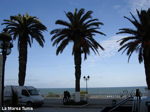 Vacanta in La Marsa Tunis, vacante de vis, calatorie, insule si locuri de scufundat, top plaje de vis