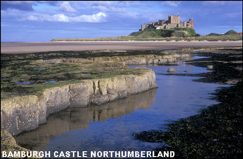 Vacanta in Bamburgh Castle, Northumberland, vacante de vis, calatorie, insule si locuri de scufundat, top plaje de vis
