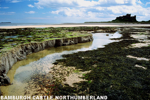Vacanta in Bamburgh Castle, Northumberland, vacante de vis, calatorie, insule si locuri de scufundat, top plaje de vis