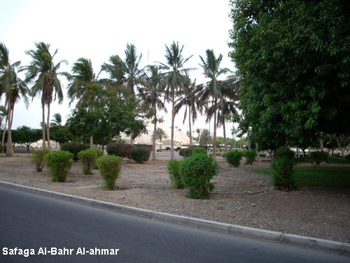 Vacanta in Safaga Al-Bahr Al-ahmar, vacante de vis, calatorie, insule si locuri de scufundat, top plaje de vis