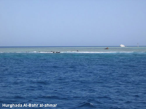 Vacanta in Hurghada Al-Bahr al-ahmar, vacante de vis, calatorie, insule si locuri de scufundat, top plaje de vis