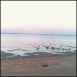 Vacanta in Port Sudan, Al-Bahr al-ahmar, vacante de vis, calatorie, insule si locuri de scufundat, top plaje de vis