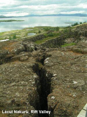 Vacanta in Lacul Nakuru, Rift Valley, vacante de vis, calatorie, insule si locuri de scufundat, top plaje de vis