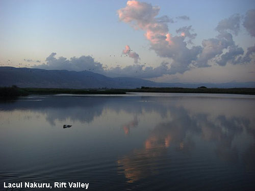 Vacanta in Lacul Nakuru, Rift Valley, vacante de vis, calatorie, insule si locuri de scufundat, top plaje de vis
