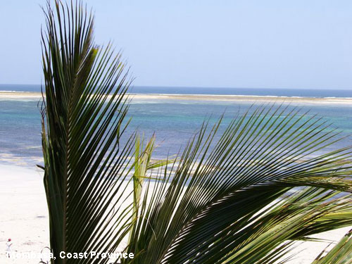 Vacanta in Mombasa, Coast Province, vacante de vis, calatorie, insule si locuri de scufundat, top plaje de vis