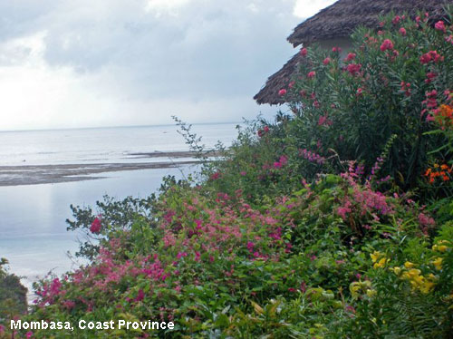 Vacanta in Mombasa, Coast Province, vacante de vis, calatorie, insule si locuri de scufundat, top plaje de vis