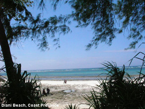 Vacanta in Diani Beach, Coast Province, vacante de vis, calatorie, insule si locuri de scufundat, top plaje de vis