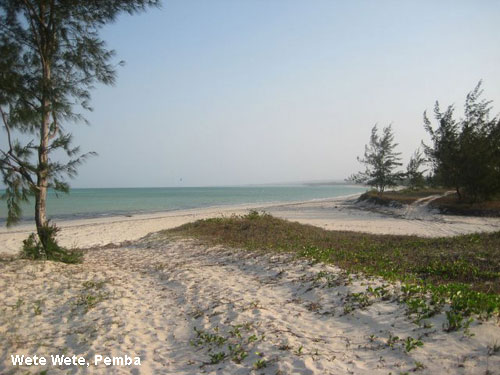 Vacanta in Wete Wete, Pemba, vacante de vis, calatorie, insule si locuri de scufundat, top plaje de vis