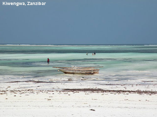 Vacanta in Jambiani Beach, Zanzibar, vacante de vis, calatorie, insule si locuri de scufundat, top plaje de vis