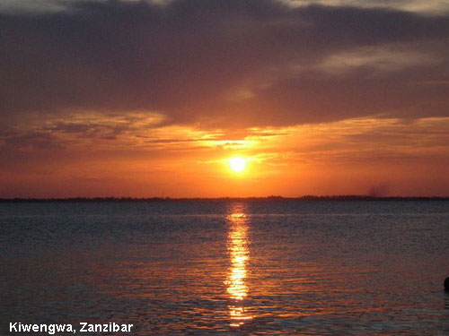 Vacanta in Jambiani Beach, Zanzibar, vacante de vis, calatorie, insule si locuri de scufundat, top plaje de vis