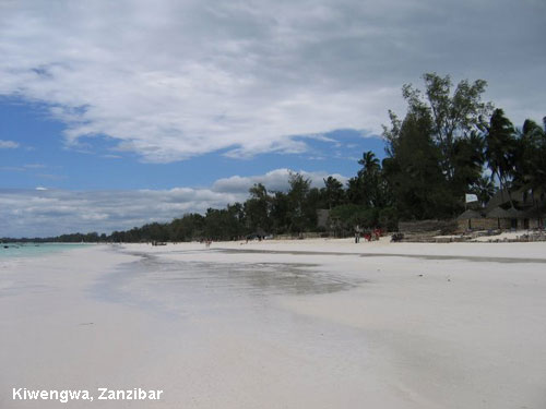 Vacanta in Jambiani Beach, Zanzibar, vacante de vis, calatorie, insule si locuri de scufundat, top plaje de vis