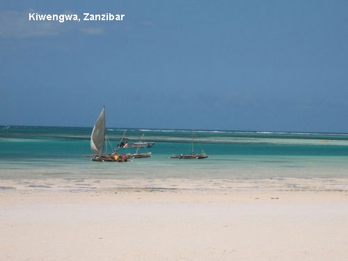 Vacanta in Jambiani Beach, Zanzibar, vacante de vis, calatorie, insule si locuri de scufundat, top plaje de vis