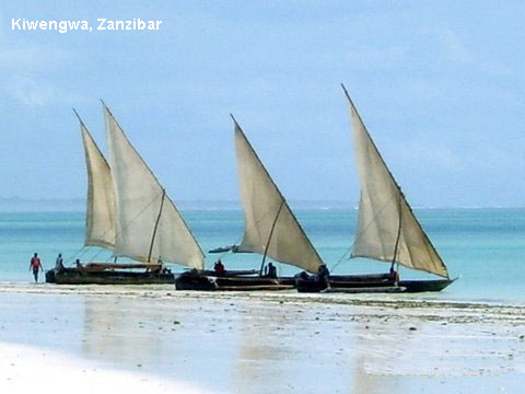 Vacanta in Jambiani Beach, Zanzibar, vacante de vis, calatorie, insule si locuri de scufundat, top plaje de vis