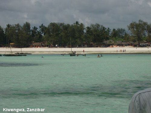 Vacanta in Jambiani Beach, Zanzibar, vacante de vis, calatorie, insule si locuri de scufundat, top plaje de vis