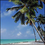 Vacanta in Jambiani Beach, Zanzibar, vacante de vis, calatorie, insule si locuri de scufundat, top plaje de vis