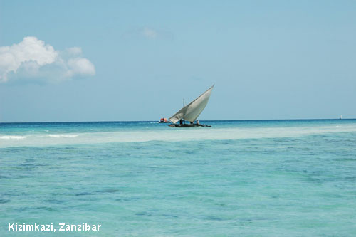 Vacanta in Kizimkazi, Zanzibar, vacante de vis, calatorie, insule si locuri de scufundat, top plaje de vis
