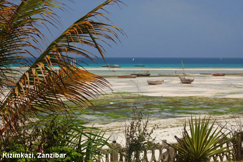 Vacanta in Kizimkazi, Zanzibar, vacante de vis, calatorie, insule si locuri de scufundat, top plaje de vis