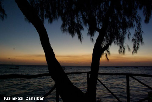 Vacanta in Kizimkazi, Zanzibar, vacante de vis, calatorie, insule si locuri de scufundat, top plaje de vis