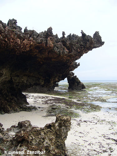 Vacanta in Kizimkazi, Zanzibar, vacante de vis, calatorie, insule si locuri de scufundat, top plaje de vis