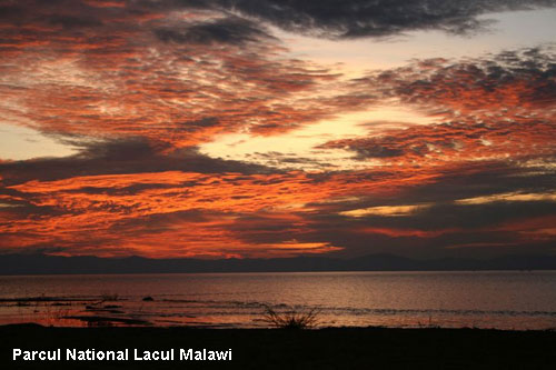Vacanta in Parcul National Lacul Malawi, vacante de vis, calatorie, insule si locuri de scufundat, top plaje de vis
