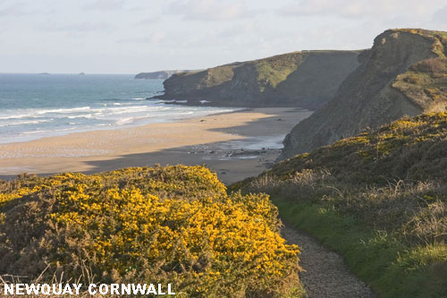 Vacanta in Newquay, Cornwall, vacante de vis, calatorie, insule si locuri de scufundat, top plaje de vis
