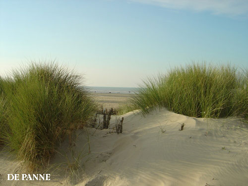Vacanta in De Panne, Flandra de Vest, vacante de vis, calatorie, insule si locuri de scufundat, top plaje de vis