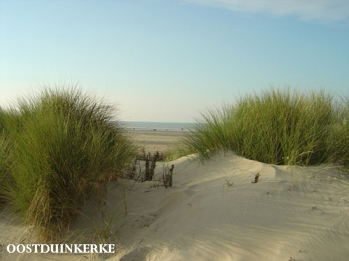 Vacanta in Oostduinkerke, Flandra de Vest, vacante de vis, calatorie, insule si locuri de scufundat, top plaje de vis