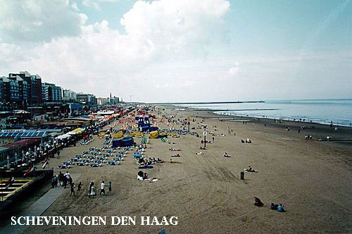 Vacanta in Scheveningen, Den Haag, vacante de vis, calatorie, insule si locuri de scufundat, top plaje de vis