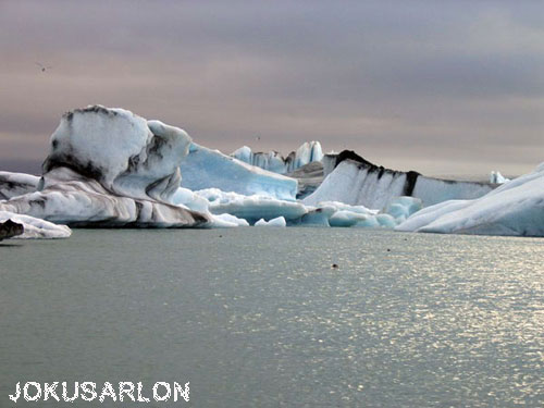 Vacanta in Laguna de ghetari Jokulsarlon , vacante de vis, calatorie, insule si locuri de scufundat, top plaje de vis