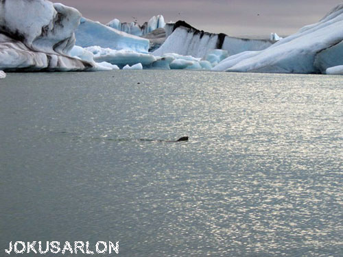 Vacanta in Laguna de ghetari Jokulsarlon , vacante de vis, calatorie, insule si locuri de scufundat, top plaje de vis