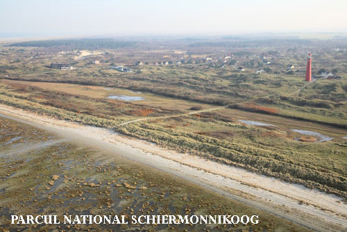 Vacanta in Parcul National Schiermonnikook, vacante de vis, calatorie, insule si locuri de scufundat, top plaje de vis