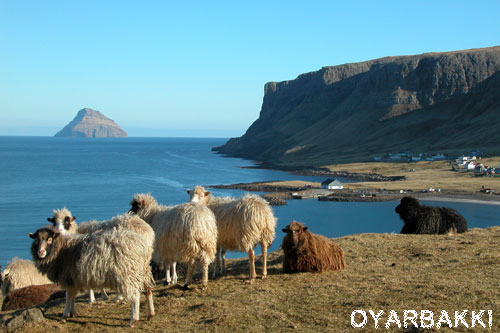 Vacanta in localitatea Oyarbakki, vacante de vis, calatorie, insule si locuri de scufundat, top plaje de vis